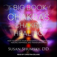 The_Big_Book_of_Chakras_and_Chakra_Healing
